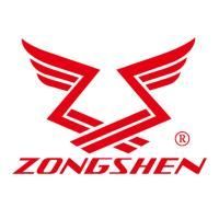 Двигатель бензиновый Zongshen ZS 190 FA2 купить в Москве с доставкой по всей России | ProtosMarket.ru