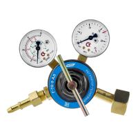 Регулятор расхода газа Г-70-5 АЛ купить в Москве с доставкой по всей России | ProtosMarket.ru