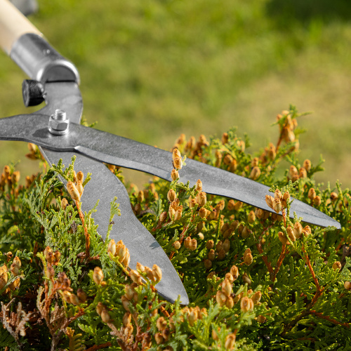 Кусторез, 650 мм, волнистые лезвия, деревянные рукоятки, Горизонт, по ценам производителя в Москве с доставкой по всей России