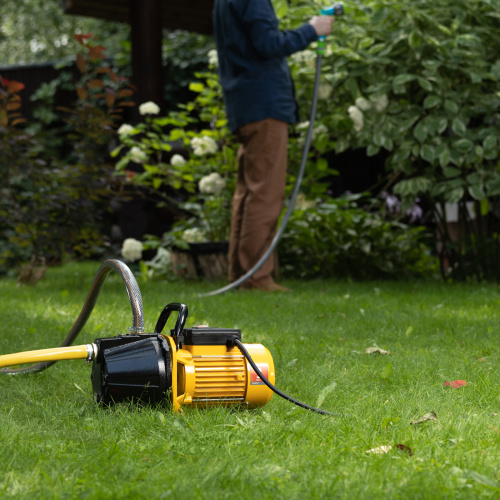 Садовый поверхностный насос GP1100C, 1100 Вт, 4500 л/ч, подъем 46 м, чугун Denzel по ценам производителя в Москве с доставкой по всей России