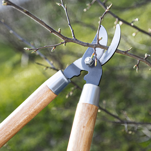 Сучкорез прямого реза, 640 мм, деревянные рукоятки, Palisad по ценам производителя в Москве с доставкой по всей России