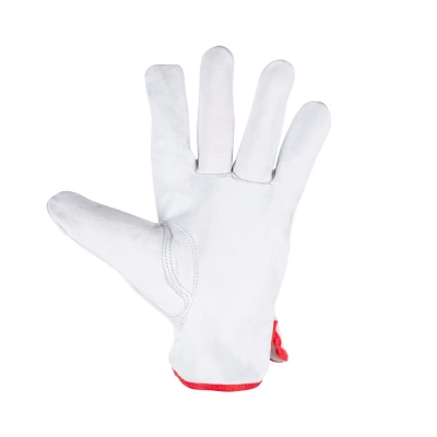 Перчатки кожаные мягкие FOXWELD "Акула" СА-03 по ценам производителя в Москве с доставкой по всей России