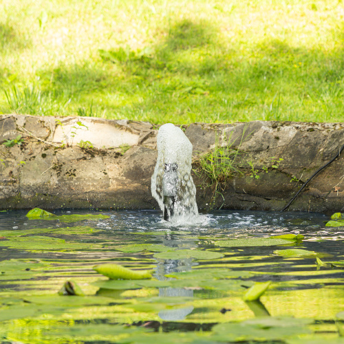 Насос фонтанный FNP90-39, 92 Вт, подъем 3,9 м, 3200 л/ч, колокольчик/каскад/гейзер Denzel по ценам производителя в Москве с доставкой по всей России