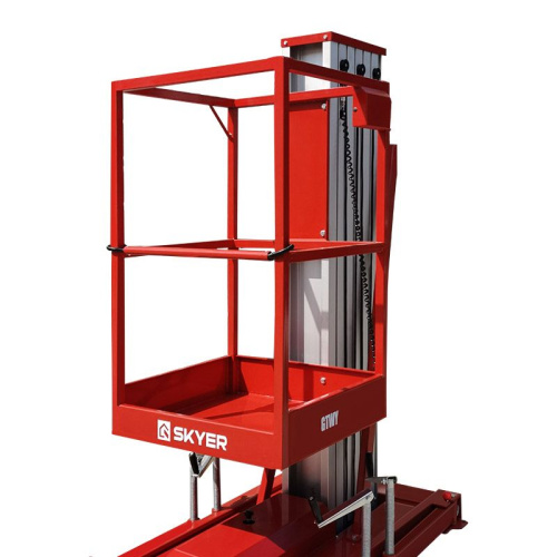 Одномачтовый подъемник SKYER GTWY8-100 купить в Москве с доставкой по всей России | ProtosMarket.ru