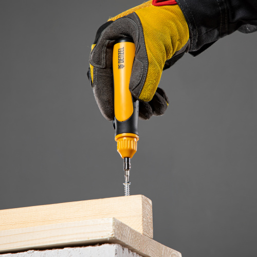 Отвертка реверсивная, механизм SmartPush mini 11 шт, CrMo Denzel по ценам производителя в Москве с доставкой по всей России