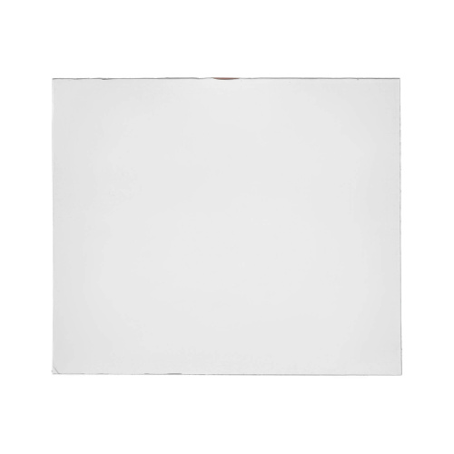 Пластина защитная поликарбонатная 133х114 по ценам производителя в Москве с доставкой по всей России