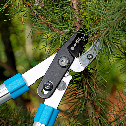 Сучкорез с наковальней, 560 - 740 мм, телескопические алюминиевые рукоятки, Luxe, Palisad по ценам производителя в Москве с доставкой по всей России