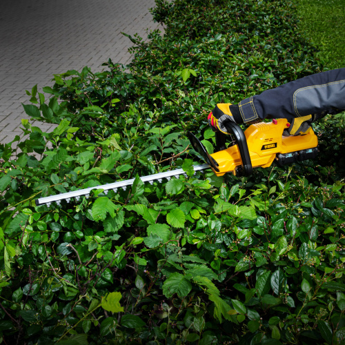 Кусторез аккумуляторный RBC510-36, Li-ion, 36 В, 4 Ач, нож 510 мм, поворотная ручка Denzel по ценам производителя в Москве с доставкой по всей России