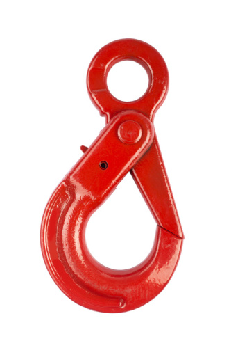 Крюк самозакрывающийся с проушиной TOR 5,3 т (Q) по ценам производителя в Москве с доставкой по всей России