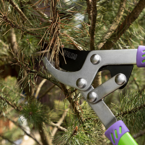 Сучкорез прямого реза, 750 мм, двухрычажный механизм, двухкомпонентные рукоятки, Palisad по ценам производителя в Москве с доставкой по всей России