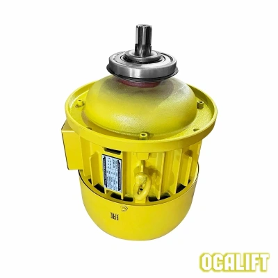 Двигатель подъёма 5т для CD1 купить в Москве с доставкой по всей России | ProtosMarket.ru