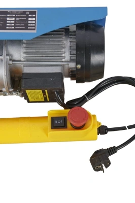 Таль электрическая TOR PA 125/250 кг 12/6 м (серия T) по ценам производителя в Москве с доставкой по всей России